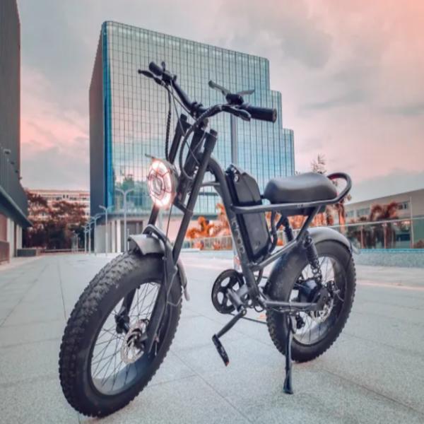 Mountain Ebike 2024 Design 500W Electric bike Out Door With Fat Tiire Electric Mountain Bike