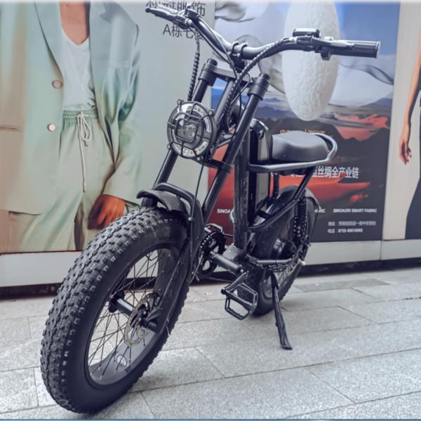 Mountain Ebike 2023 Design 500W Electric bike Out Door With Fat Tiire Electric Mountain Bike
