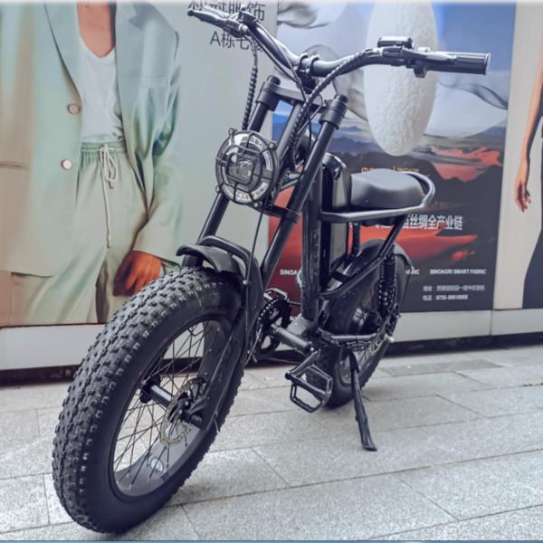 Mountain Ebike 2024 Design 500W Electric bike Out Door With Fat Tiire Electric Mountain Bike