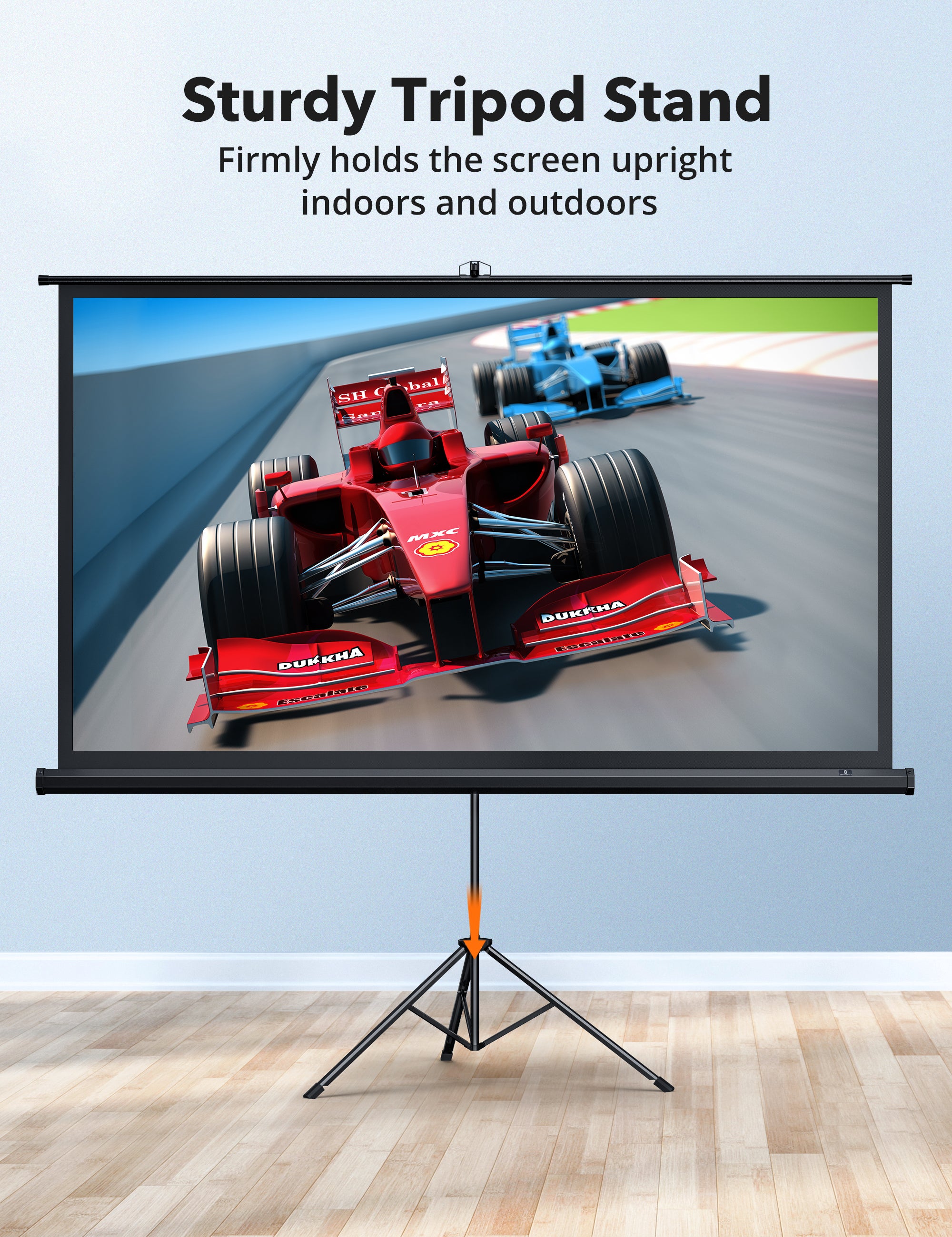 TaoTronics TT-HP021 Portable Projector Screens 120" with Stand Support 4K HD