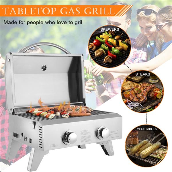 TG-12U Stainless Steel Oven Gas Oven Double Row Double Head Small Oven