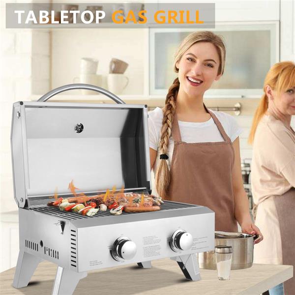 TG-12U Stainless Steel Oven Gas Oven Double Row Double Head Small Oven