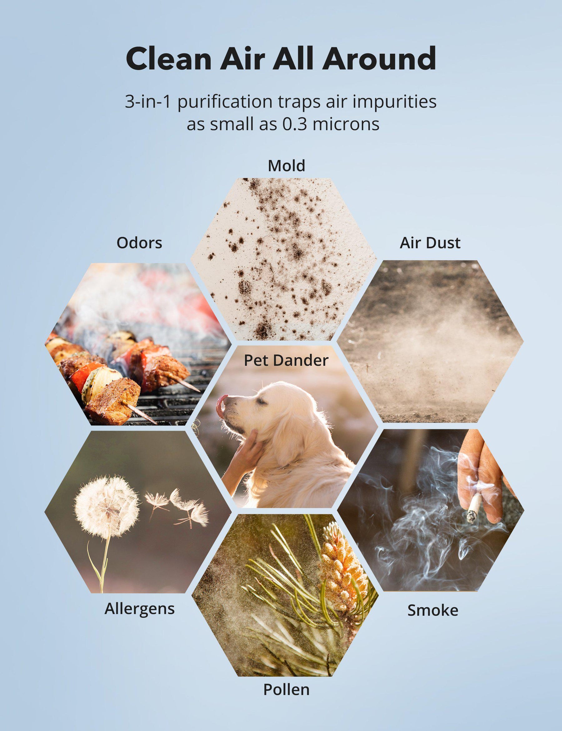 Air Purifier Filter Compatible with TT-AP001, Air Purifier Replacement Filter, 3-in-1 True HEPA Filter-TaoTronics
