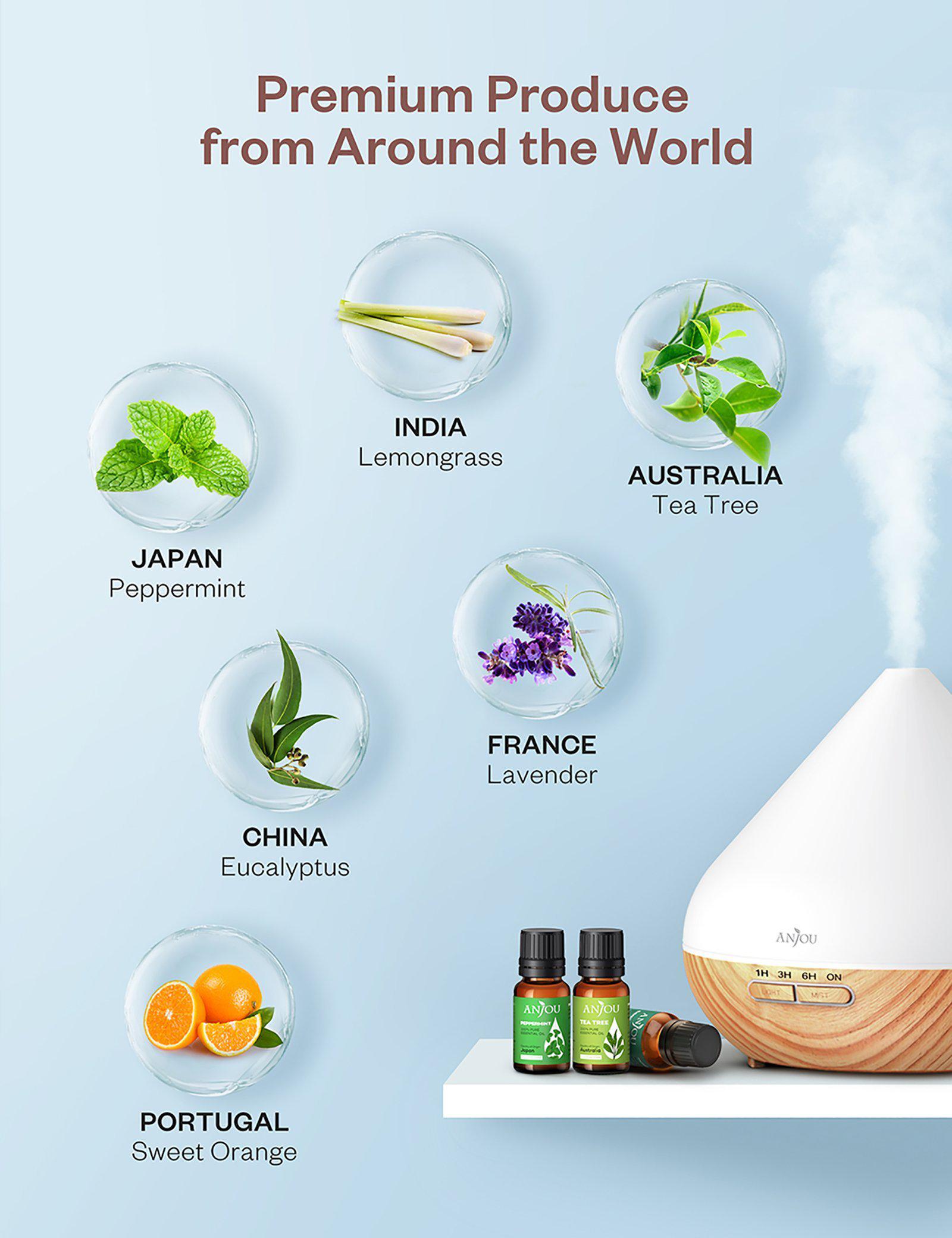 Aromatherapy Essential Oil Top 6 10ml Pure & Therapeutic Grade-TaoTronics US