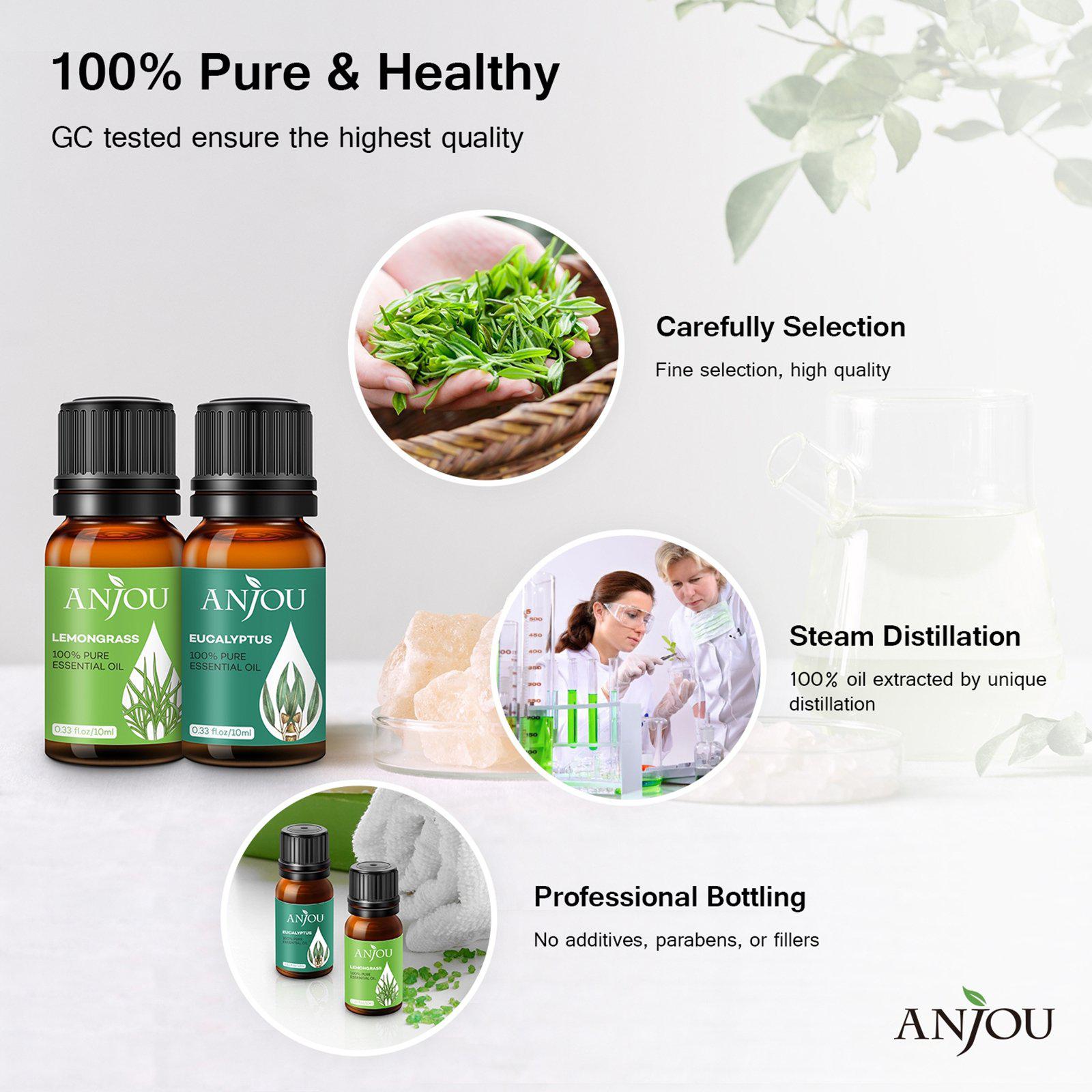 14 x10ml Aromatherapy Essential Oil Large Pure & Therapeutic Grade-TaoTronics US