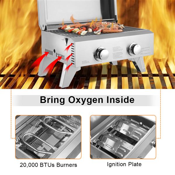 TG-12U Stainless Steel Oven Gas Oven Double Row Double Head Small Oven