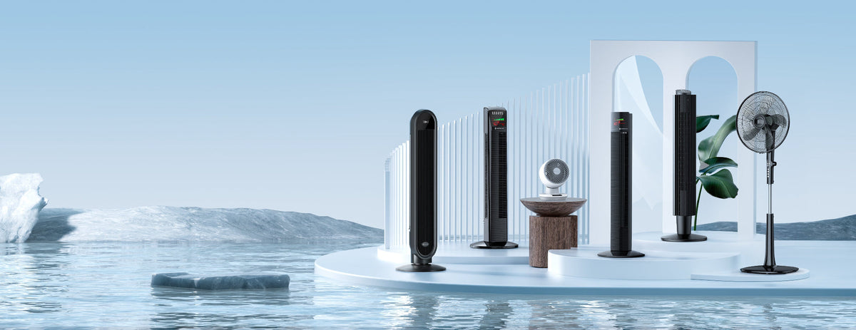 Platform Fans Fans