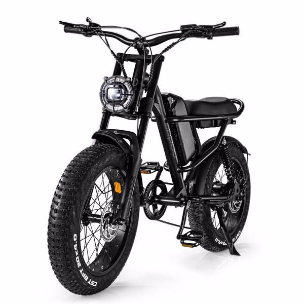 Mountain Ebike 2023 Design 500W Electric bike Out Door With Fat Tiire Electric Mountain Bike