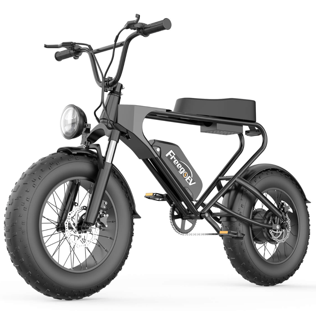 Electric bike discount with big tyres