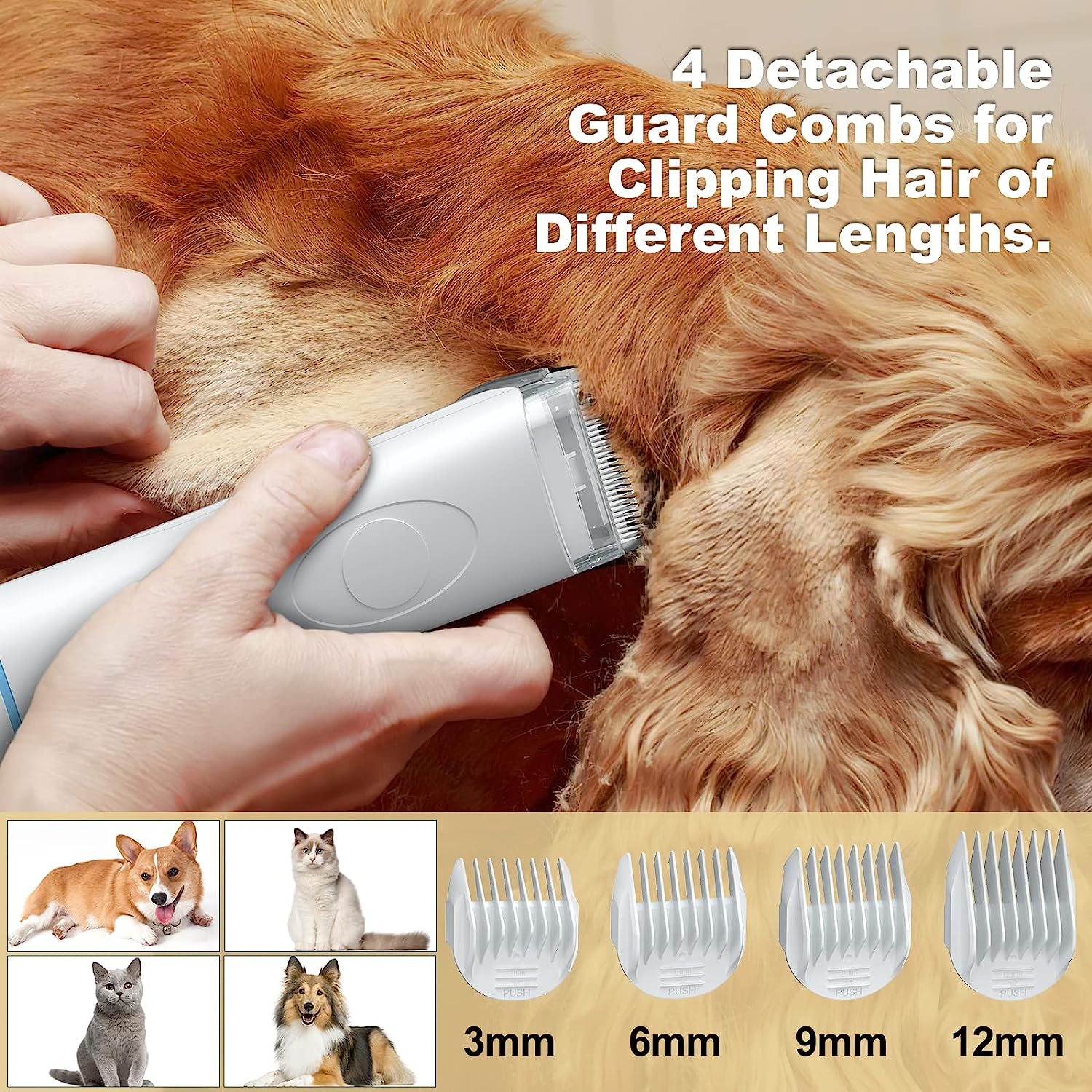 Ehohed Dog Grooming Kit with5 in 1 Pet Grooming Tools,2L Bust Box