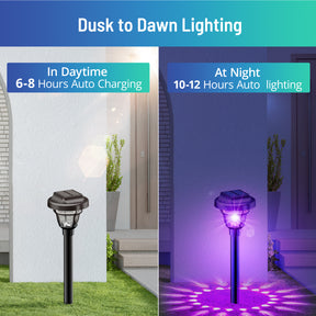 Solar Outdoor Lights,RGB Color Changing Solar Garden Lights, Solar Walkway Lights for Garden