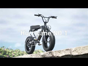 2024 Off Road Mountain Electric Bike 20'' Fat tires 1200W Powerful Motor