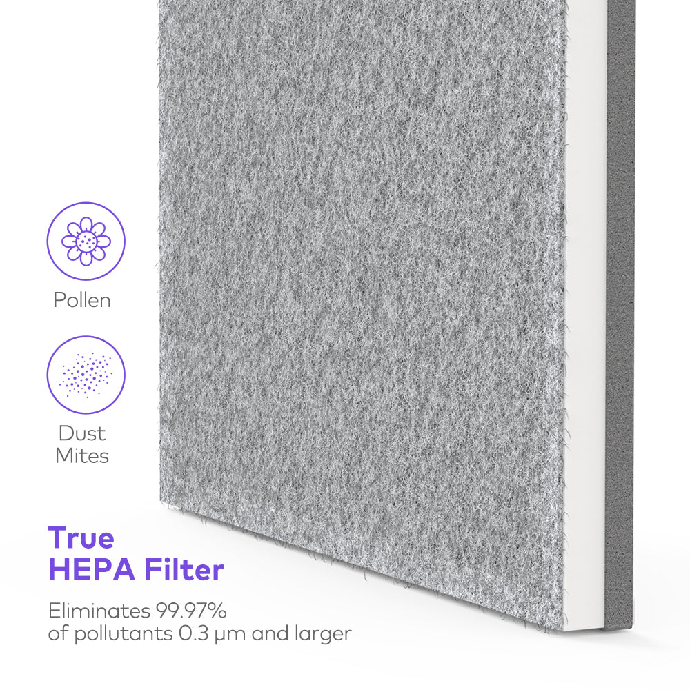 Air Purifier Replacement Filter, 3-in-1 True HEPA Filter, Advanced 3-Stage Filtration EE004-TaoTronics US