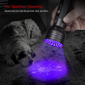 UV FlashLight