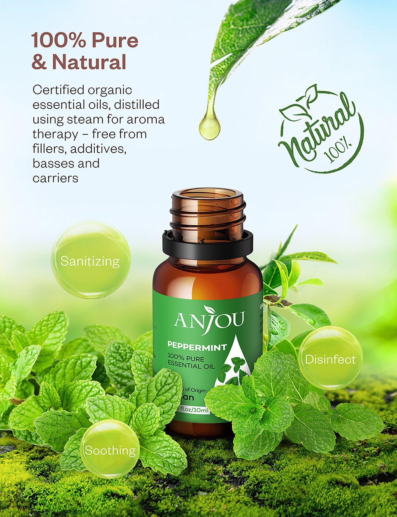 Aromatherapy Essential Oil Top 6 10ml Pure & Therapeutic Grade-TaoTronics US