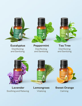 Aromatherapy Essential Oil Top 6 10ml Pure & Therapeutic Grade-TaoTronics US
